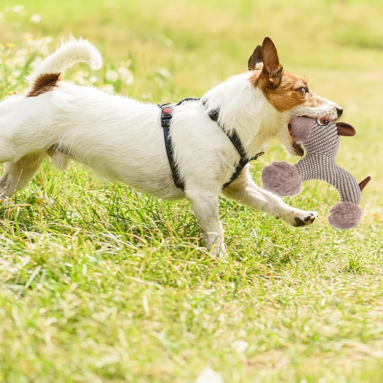 Large Squeaky Stuffed Animals Dog Plush Chew Toys