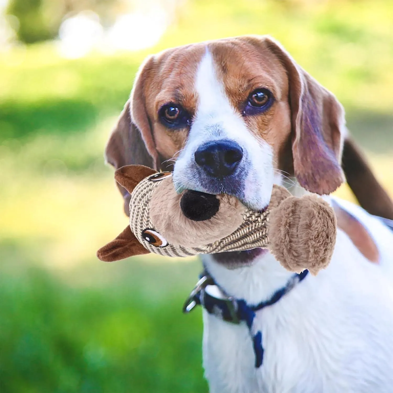 Large Squeaky Stuffed Animals Dog Plush Chew Toys