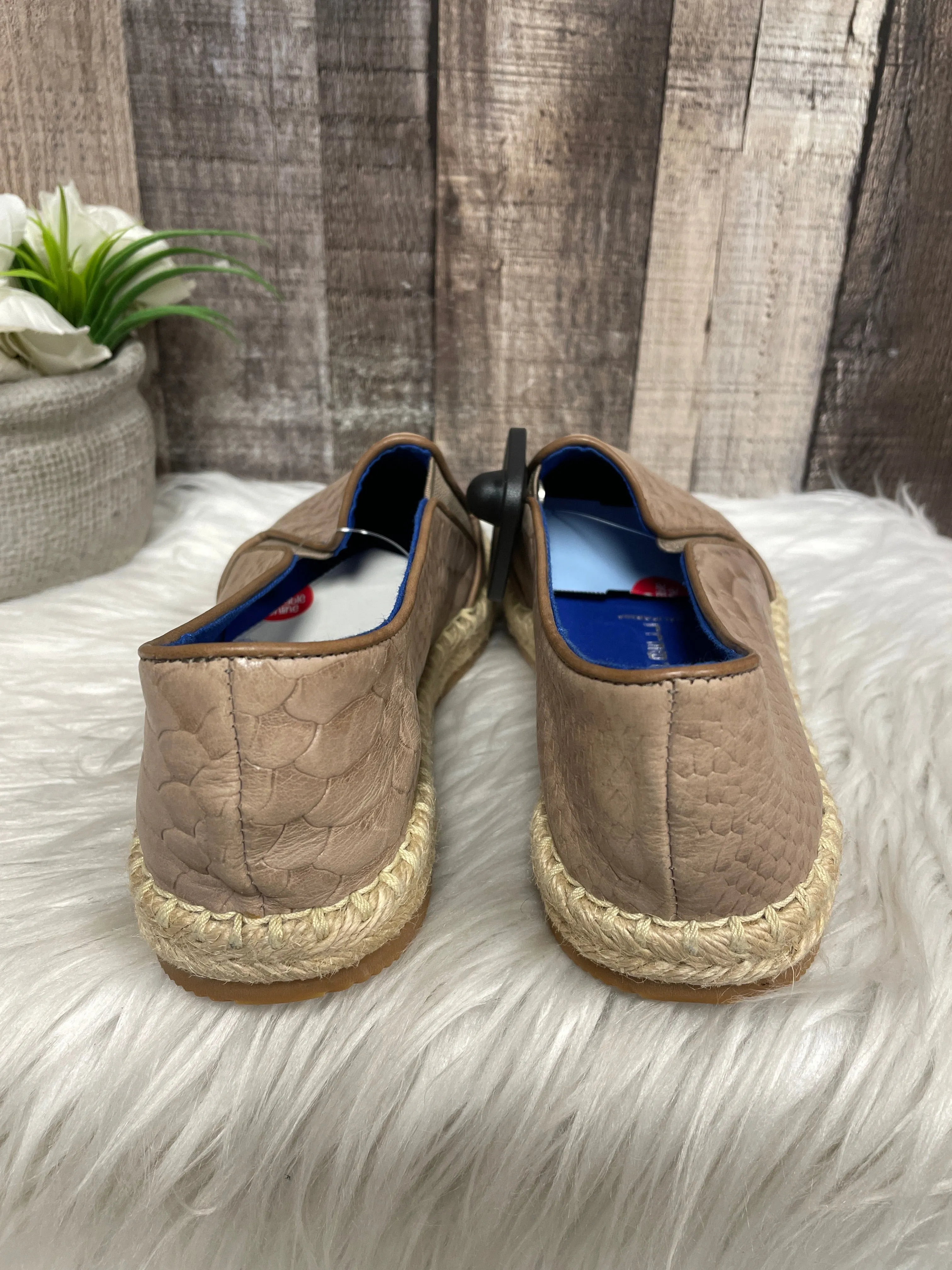 Shoes Flats Loafer Oxford By Jeffery Campbell  Size: 6.5