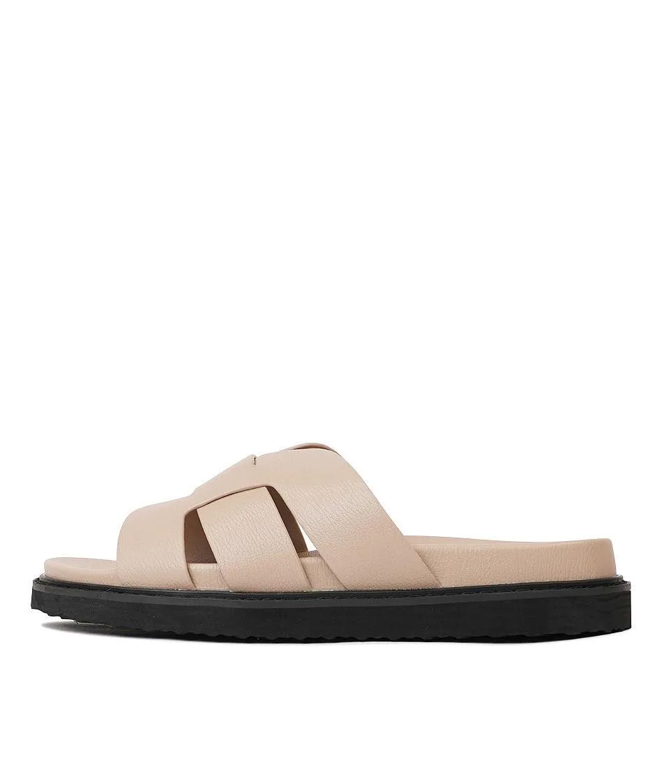 Zanna Biscuit Slides