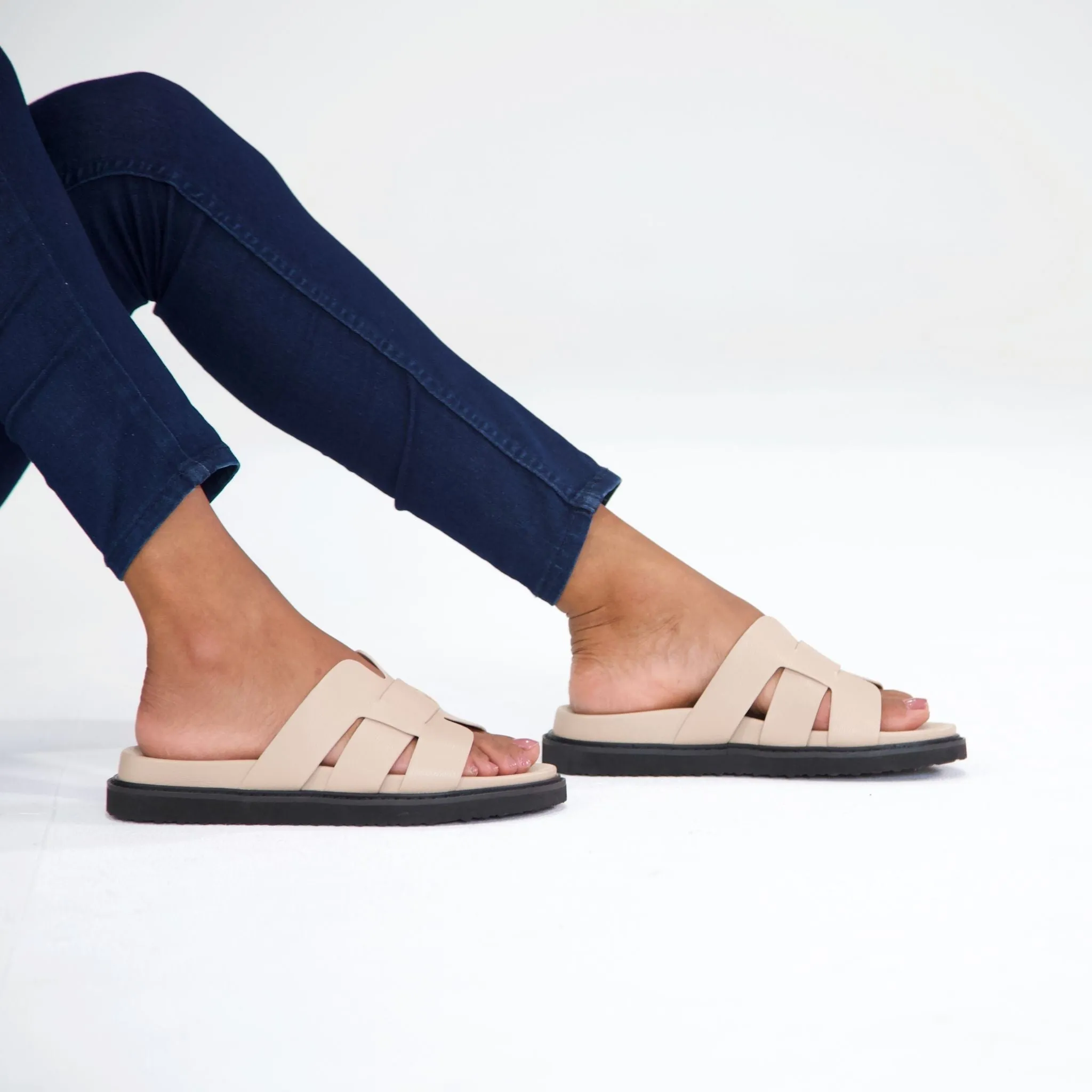 Zanna Biscuit Slides