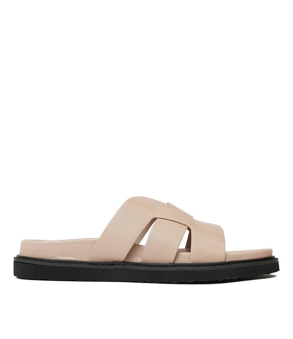 Zanna Biscuit Slides