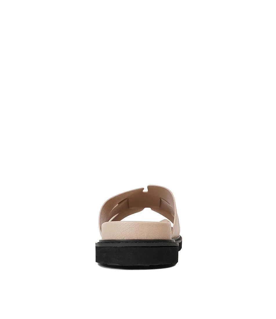 Zanna Biscuit Slides