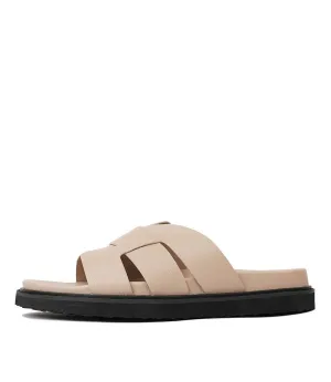 Zanna Biscuit Slides