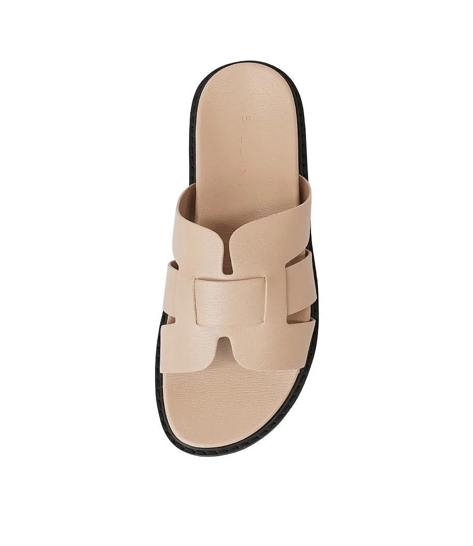 Zanna Biscuit Slides